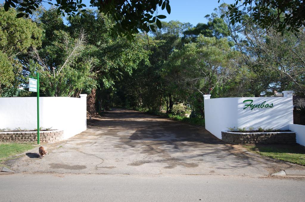Fynbos Guest House Riversdale Bagian luar foto