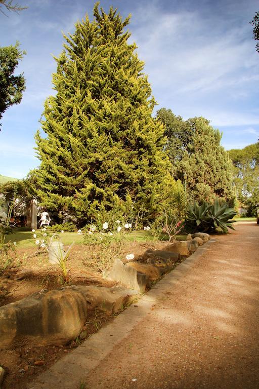 Fynbos Guest House Riversdale Bagian luar foto